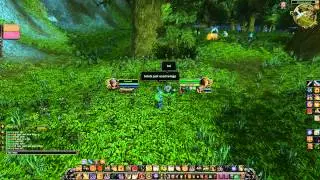 Skype Rage (world of warcraft)