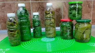 Узум баргини 3 хил усулда киш фасли учун тайёрлаш 💯💯Ишончли ва самарали