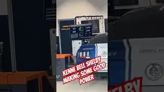 Remote session for Shelby rocking kennel bell #shelby #ford #supercharger #boost #fyp #cars