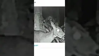 💀
