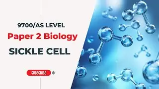 Sickle Cell | AS Level - P2 | Biology with Dr Lakho