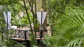Serene terrace The Reef Playacar #jungleterrace #playacar #thereefplayacar