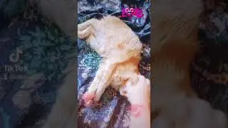 скоро весна мля любовь