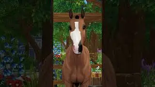 Star Stable TikTok Compilation #5!