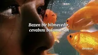 yüksek sadakat - fener (sözleri)