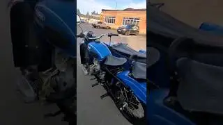 И он запел 👍👍👍#shorts