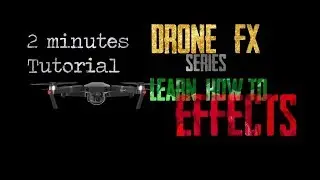 Invert Effect and Transition Zoom in/out Gaussian Blur - Adobe Premiere