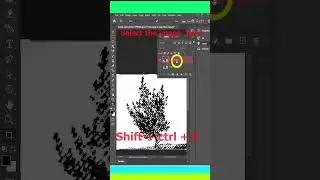How To Change Tree Background In Adobe Photoshop For The Ever Best And Easiest Way 