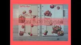 Plan with Me / Bullet Journal / Mini happy planner hybrid