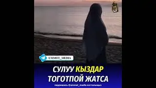 Сулуу кыздар тоготпой жатса!  Шейх Садыбакас ажы устаз