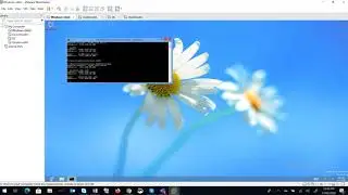 MCSE-DNS-02-Sinhala