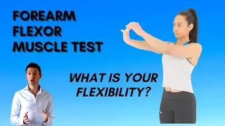 Forearm Flexor Muscle - Test Your flexibility...