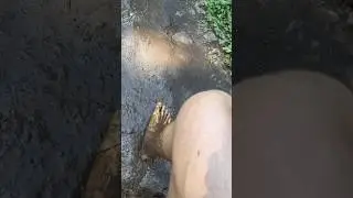 Разулся и хожу босыми ногами по всякому!