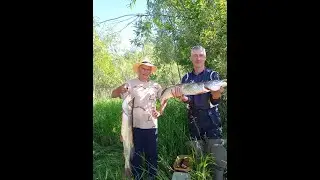 Рыбалка на р Печера. Крупная щука