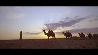 Отырар арыстан KAZ