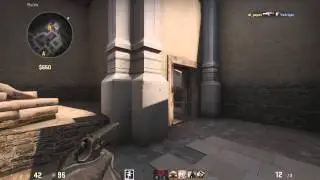 don't shoot the chicken
