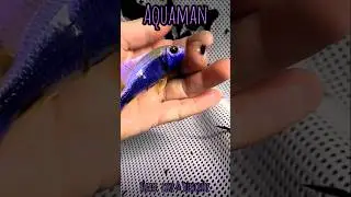 WOW🔥-WOW🔥|| Must Watch || #shorts