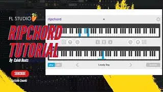 How To Make Chords Easy Using RipChord For Amapiano And Private School