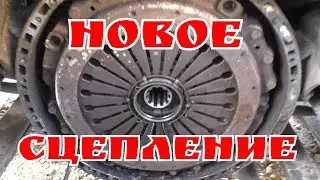 Replaced the clutch in the MAGNUM.