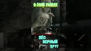 ВЕРНЫЙ ПЁС - HUNT: SHOWDOWN в 2024  
