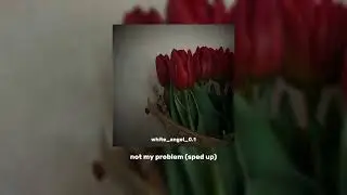 Laila! - not my problem speed up