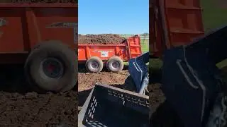 putting down layer manure on organic ground for corn and soybeans #2024