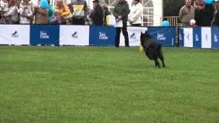 Гушан Ольга и грюнендаль Злата