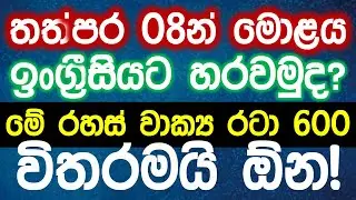85 Minutes of English Listening Practice for Beginners in Sinhala | Learn English While You Sleep
