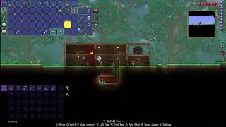 Late Night Terraria Sesh