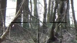 KJW M700 Airsoft Sniper Scope Cam 1