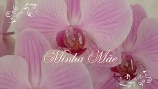 Minha Mãe - Tarcísio Lima (Chico Xavier/Maria Dolores)