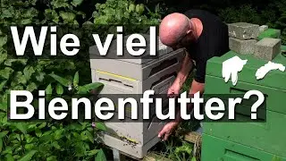 How much winter feed for the bees? Complete feeding and winter preparation!