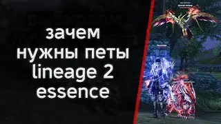 гайд по петам | lineage 2 essence 2022