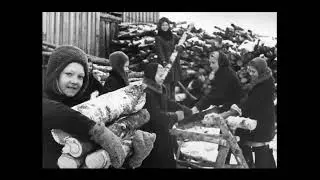 Боевой путь оперативной инженерной группы генерала Галицкого в 1941-1942гг. Часть 1. Битва за Москву