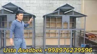 Kaptar katak tayorlash jaroyoni