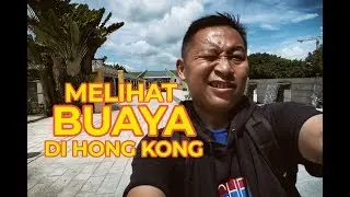 Lokasi Wisata di Hong Kong: Melihat Buaya di Hong Kong Wetland Park