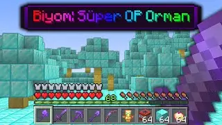 Minecraft but WITH SPECIAL BIOMES!