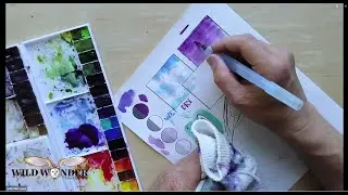 Learn to Watercolor with John Muir Laws