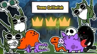 Battle Cats | Young Cuttlefish (3 Crowns) | No Gacha, No Rock, No Bahamut, No Idi