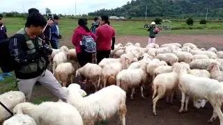 Sài Gòn - Phan Thiết | 05-08/08/2016