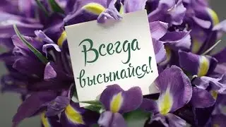 Чистая Линия Гели Фитотерапия Ирис