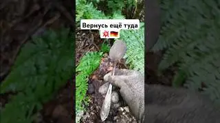 Коп в лесу 