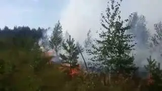 Лесной пожар около с. Талицы