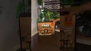 #funwhole