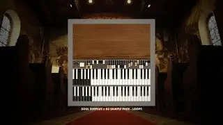 Soul Surplus :: B3 Sample Pack - Loops