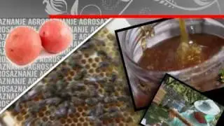 RTCG - Agrosaznanje.mpg