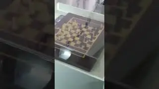 Автоматические шахматы