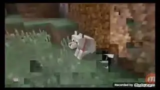 Песня нуба: где моя сосиска