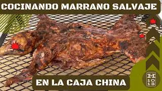 Como cocinar marrano salvaje en la caja china.