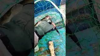 утро начинается не с кофе #отдых #рыбалка #fishing